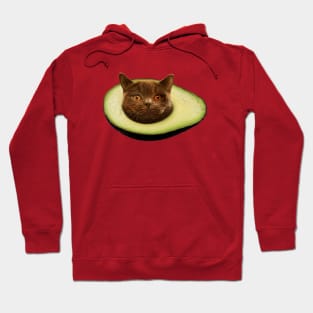 Avocato Hoodie